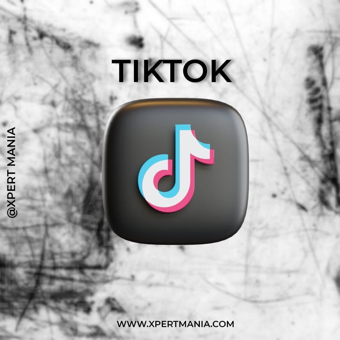 TikTok Followers